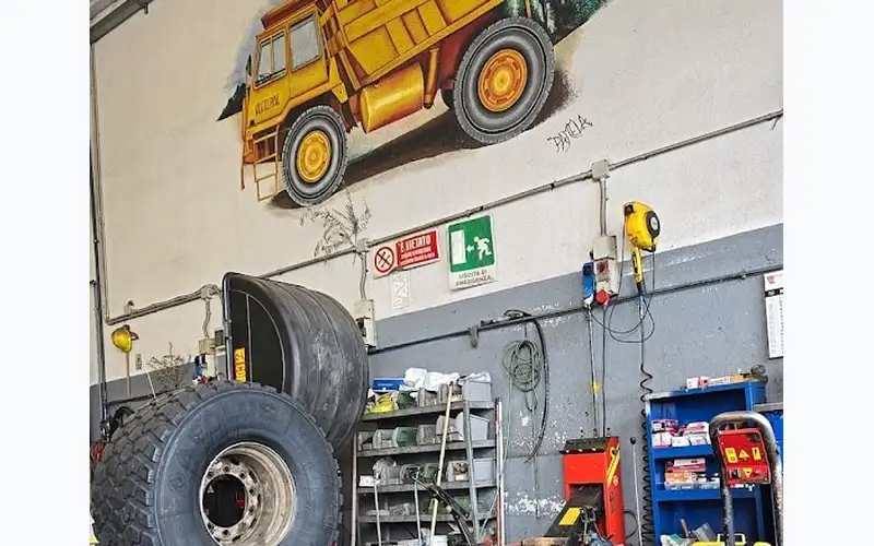 Foto dell'officina B.M. Pneumatici S.r.l. - Pederobba