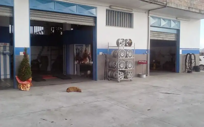 Foto dell'officina Monda Gomme