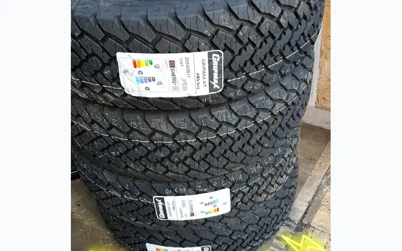 Foto dell'officina Pianta Gomme 2