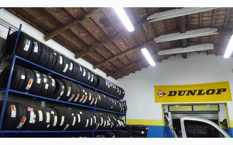 Foto dell'officina Tutto Gomme S.r.l.s